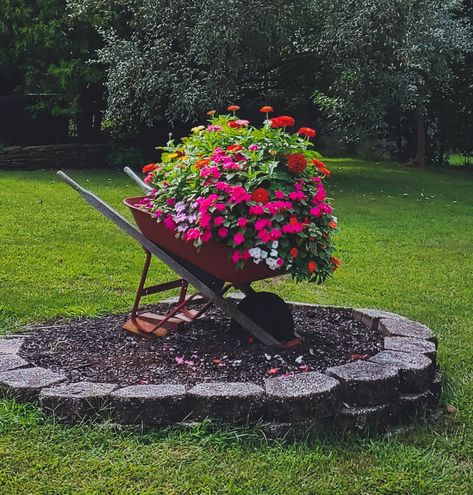 Wheelbarrow Flower Bed, Wagon Wheel Decor Outdoor, Wheelbarrow Planter Ideas, Outdoor Yard Ideas, Wheelbarrow Planter, Creative Garden Decor, Diy Raised Garden, Front Yard Garden Design, Recycled Garden