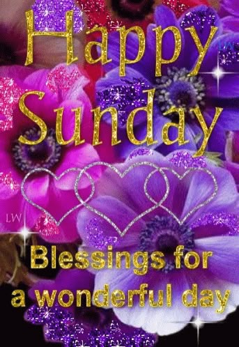 Happy Sunday Blessings GIF - HappySunday Blessings WonderfulDay - Discover & Share GIFs Hindi Syari, Sunday Gif, Happy Sunday Images, Good Morning Sunday Images, Happy Sunday Morning, Sunday Morning Quotes, Sunday Pictures, Sunday Greetings, Good Sunday Morning