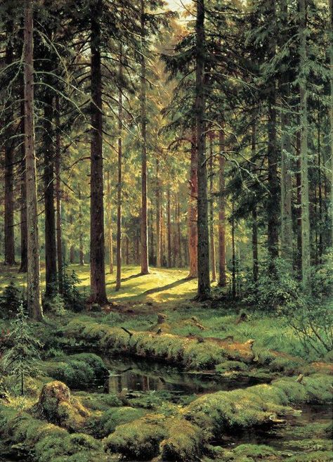 Ivan Shishkin • Coniferous Forest. Sunny Day, 1895 Ivan Shishkin, Sunny Forest, Coniferous Forest, Forest Illustration, Seasons Of Life, Sunny Day, Pretty Pictures, Geography, Sunny Days