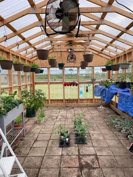 Green House For Trees, Greenhouse Floor, Gardening Greenhouse, Green Houses, Green House, Greenhouses, Green Thumb, Trees, Flooring