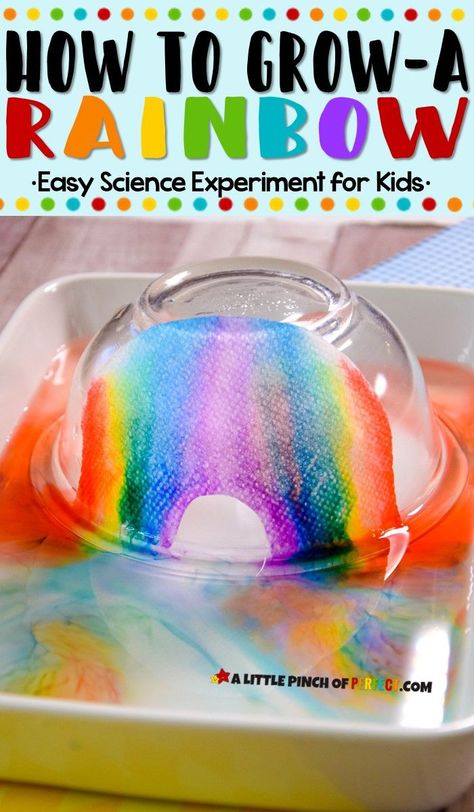 Learn how to grow a rainbow using a paper towel and markers. The directions are easy + video tutorial. Paper Towel Experiment, Grow A Rainbow, Rainbow In A Jar, Spring Science, Capillary Action, Paper Towel Crafts, Rainbow Activities, Lesson Plans For Toddlers, Easy Science Experiments