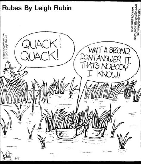 Duck hunting humor Duck Hunting Quotes, Duck Hunting Humor, Girl Hunting Quotes, Duck Dynasty Humor, Hunting Quotes Funny, Hunting Jokes, Goose Hunting, Hunting Quotes, Funny Deer