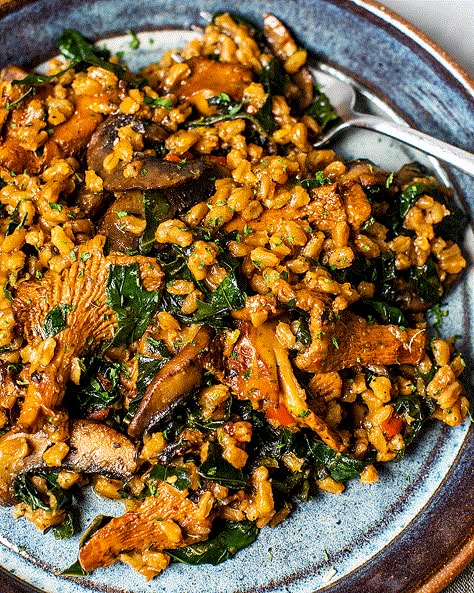 Farro with Wild Mushrooms | Tried & True Recipes Red Kale, Wild Mushroom Recipes, Farro Recipes, Fresno Chili, Veggie Main Dishes, Risotto Dishes, Mushroom Recipes Healthy, Tried And True Recipes, Bistro Food