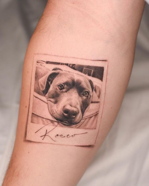 Bryan Gutierrez | Rocco, a very good boi 🖤. . . . . . . . #dog #dogtattoo #armtattoo #tattoodesign #tattooidea #tattoodo #nyctattoo #miamitattoo… | Instagram Pet Memorial Tattoo, Dog Tattoo Ideas, J Tattoo, Dog Memorial Tattoos, Nyc Tattoo, Skin Care Routine Order, Memorial Tattoo, Memorial Tattoos, Dog Tattoo