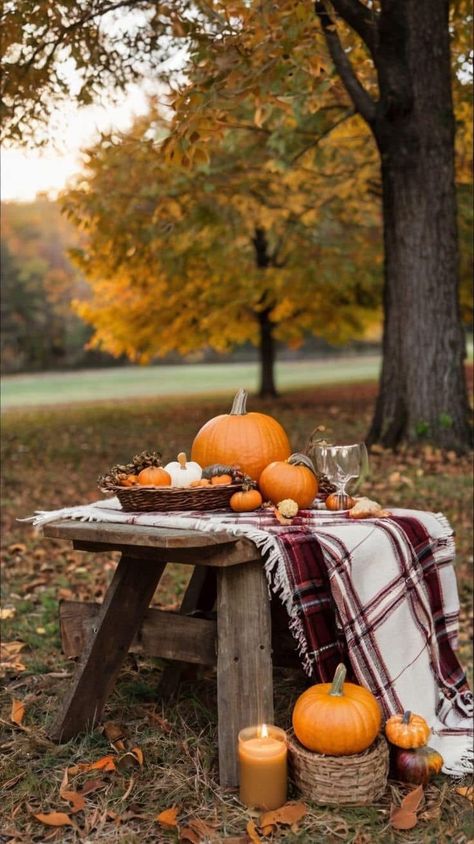 Autumn Challenge, Autumn Scents, Fall Photo Props, Warm Inviting Home, Fall Decorating Ideas, Halloween Facts, Apple Decorations, Fall Photography, Halloween Photo