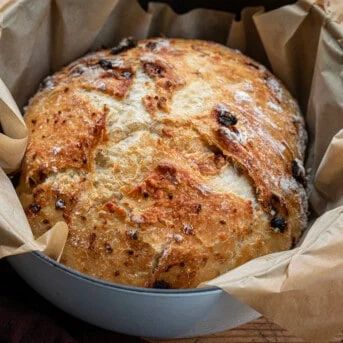 Sun Dried Tomato Bread, Freezing Bread, Honey Oat Bread, Stay At Home Chef, Tomato Bread, Asiago Cheese, Bread Serving, Sourdough Starter, Dried Tomatoes