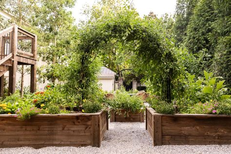 The Complete Guide to Growing Tomatoes on an Arch Trellis • Gardenary Backyard Plans, Tomato Trellis, Cattle Panels, Tomato Vine, Arch Trellis, Backyard Plan, Garden Inspo, Green Tomatoes, Growing Tomatoes