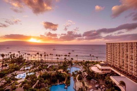 7 things to know before you go: Hilton Waikoloa Village - Hawaii Magazine Hilton Waikoloa Village, Waikoloa Village, Hawaii Magazine, Green Sea Turtle, Standup Paddle, Big Island, Things To Know, Snorkeling, My Home