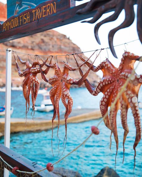 Ammoudi Bay, Artist Alley Table, The Starless Sea, Europe Clothes, Greek Village, Santorini Island Greece, Greece Itinerary, Greek Tradition, Greek Summer