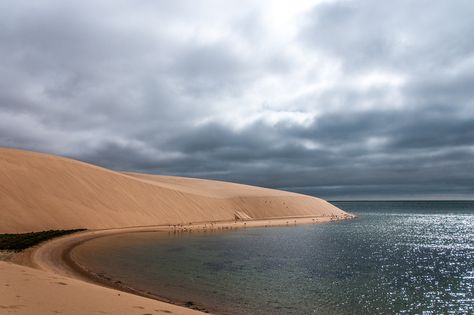 Desert And Sea, Namibia Desert, Manga References, Namib Desert, Island Destinations, Ocean Landscape, Smooth Operator, Desert Island, Island Tour