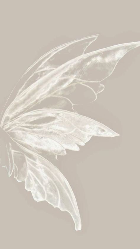 White Aesthetic Butterfly, Butterfly Aesthetic Wallpaper, Wallpaper Butterfly, Wing Butterfly, Minimalist Wallpaper Phone, Simplistic Wallpaper, Butterfly Aesthetic, Aesthetic Butterfly, Zestaw Ikon