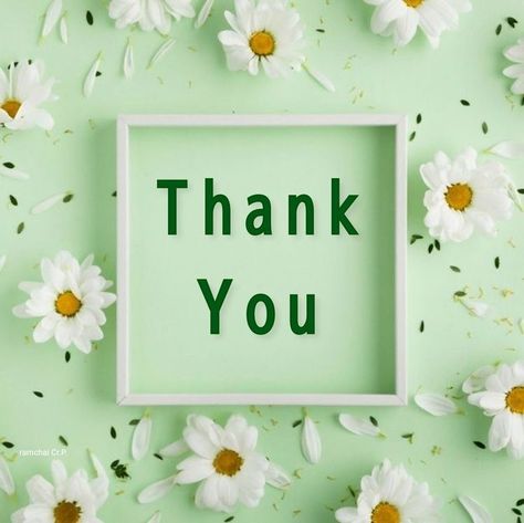 Thank You Messages Gratitude, Thank You Wallpaper, Thanks For Birthday Wishes, Thank U Cards, Thank You Wishes, Thank You Images, Thank You Flowers, Happy Navratri Images, Happy Birthday Beautiful