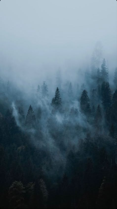 Snowing Aesthetic Wallpaper, Dark Mountains, Foggy Mountains, Cocoppa Wallpaper, Evergreen Forest, Foggy Forest, Dark Nature Aesthetic, Still Life Photos, Misty Forest