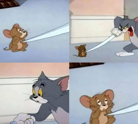 tom and jerry Tom Meme, Tom And Jerry Funny, Tom And Jerry Memes, Blank Memes, Tom And Jerry Cartoon, Meme Template, Funny Animal Memes, Tom And Jerry, Animal Memes