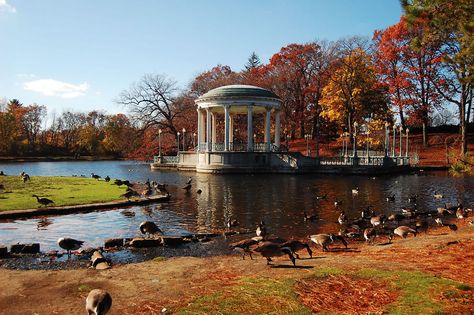 Roger Williams Park 19 of Rhode Island's Most Beautiful Places | The Odyssey Roger Williams Park, Rhode Island Travel, Autumn Landscapes, Island School, New England Road Trip, East Coast Travel, East Coast Road Trip, New England States, Providence Rhode Island