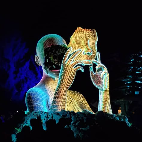 Rainbow Serpent Festival, Oud Hollywood, Forest Festival, Electric Forest Festival, Electric Forest, South African Artists, Projection Mapping, African Artists, Interactive Art