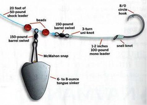 Suggested baits, rigs, and techniques to catch surf fish like red drum, bluefish, and striped bass. Surf Fishing Tips, Pesca In Mare, Surfing Tips, Salt Water Fishing, Bass Fishing Tips, Surf Fishing, Fishing Rigs, Fishing Techniques, Fishing Quotes