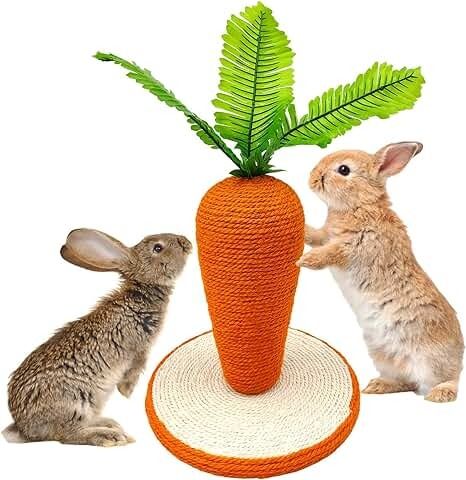 Amazon.com: Rabbit Stuff Rabbit Stuff, Cute Carrot, Indoor Rabbit, Small Rabbit, Chinchillas, Natural Sisal, Rabbit Toys, Pet Care Tips, Bunny Toys