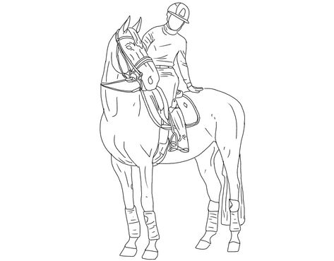 Horse With Rider Drawing, Horse And Rider Drawing, Horses Drawings, Horse Lineart, Horse Drawing Tutorial, Horse Outline, Horse Art Drawing, Horse Sketch, Horse Inspiration