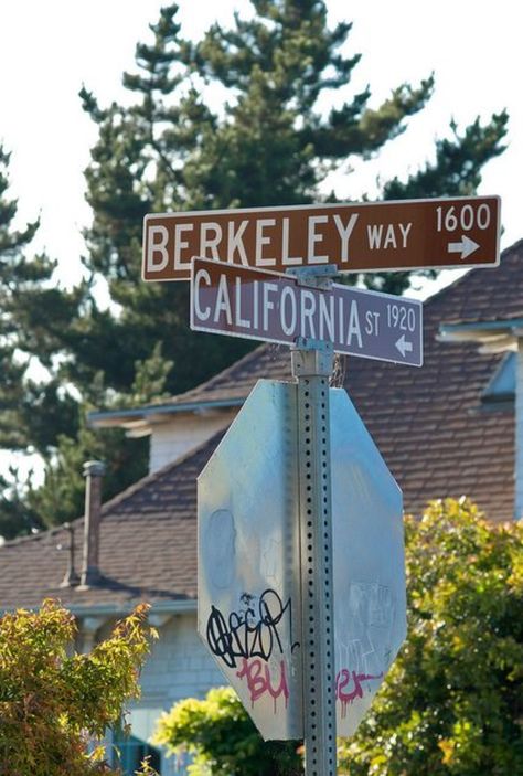 University Of California Berkeley, Berkley Aesthetic, Uc Berkeley Aesthetic, Berkeley Aesthetic, Berkley California, California Culture, Berkeley Campus, Berkeley University, California Bay Area