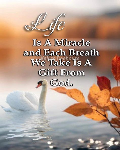 Inspirational Quotes Encouragement, Christian Fall, Bible Journal Notes, Reality Of Life Quotes, A Course In Miracles, Morning Wishes Quotes, Scripture Print, Inspirational Bible Quotes, Wishes Quotes