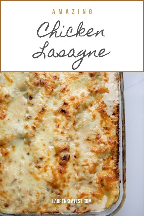 Chicken Cheese Lasagna, White Sauce Casserole Recipes, Chicken Lasagna Recipe With Ricotta, Recipe For Chicken Lasagna, Chicken Lasange Recipe, Chicken Lazania, Creamy White Chicken Lasagna, Chicken Lasagna With Stove Top Stuffing, Creamy Chicken Lasagna Recipe