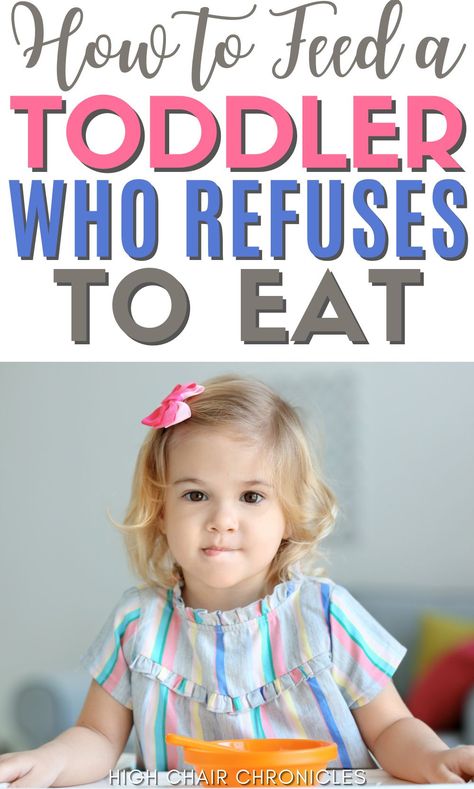 Toddler Won’t Eat, Toddler Meals Picky, Toddler Wont Eat, Picky Eating Toddler, Mexican Spice, Toddler Picky Eater, Picky Toddler Meals, Toddler Speech, Toddler Hacks