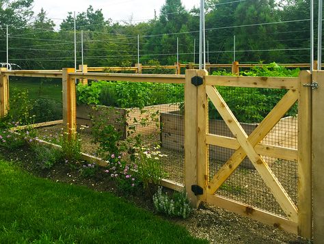 Vegetable Garden Design - Gunn Landscape Architecture Fenced Garden With Greenhouse, Fenced Garden With Raised Beds And Greenhouse, Small Vegetable Patch, Vegetable Garden Design Deer Proof, Cottage Garden Vegetable Patch, Fenced Vegetable Garden, Homestead Gardens, Raised Garden Beds Diy, Porch Garden