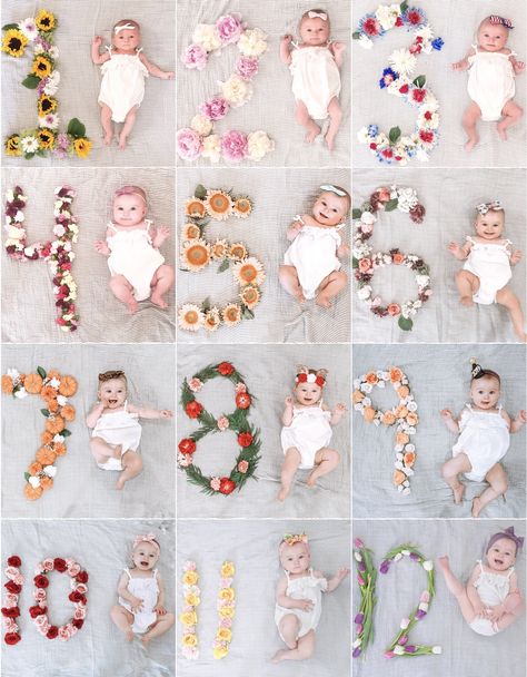 Newborn Photography Monthly, Spring Baby Monthly Pictures, Floral Milestone Photos, Milestone Pictures Monthly, Holiday Milestone Pictures, 5 Month Old Photo Ideas, Monthly Baby Girl Shoot, 6 Month Flower Photoshoot, Baby Pictures Month By Month