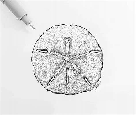 SAND DOLLAR print minimalist print nautical illustration | Etsy | Sand ... Sand Dollar Tattoo, Nautical Illustration, Dollar Tattoo, Tattoo Accessories, Artsy Tattoos, Sand Drawing, Seahorse Tattoo, Small Tats, Beach Quilt