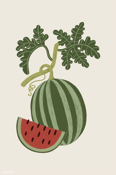 Hand drawn watermelon design resource vector | premium image by rawpixel.com / Noon Watermelon Drawing, Watermelon Sticker, Watermelon Illustration, Illustration Fruit, Watermelon Plant, Tiny Canvas, Pineapple Wallpaper, Watermelon Design, Pomegranate Design