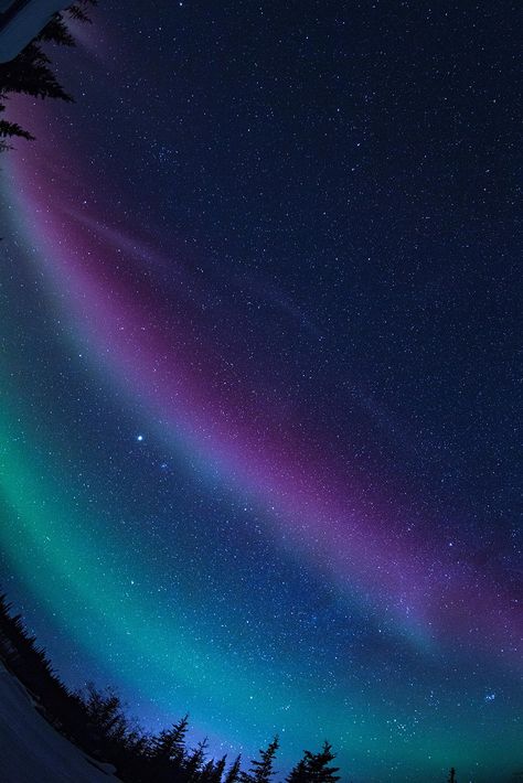 Photographer Dominic Chu captured a perfectly timed progression of the famed Northern Lights on a recent trip to Yellowknife, Canada, capital of the Northern Territories. Yellowknife Canada, Northern Lights Wallpaper, Northern Lights Photo, Northern Lights Photography, Lights Wallpaper, Aurora Sky, Northern Lights Norway, Sky Quotes, Northern Lights (aurora Borealis)