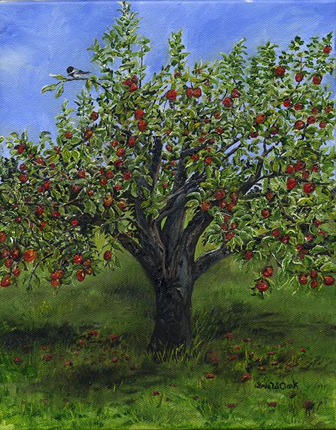 The Apple Tree, by Linda W Clark is an oil painting on cotton canvas measuring 8 x 10 inches. It was completed in July of 2015 with Giclee prints following. Tree Plan Photoshop, Tree Painting Ideas, Apple Tree Painting, Tree Garden Design, Drawing Apple, Palm Tree Drawing, Birch Tree Wedding, Tree Outline, Red Maple Tree