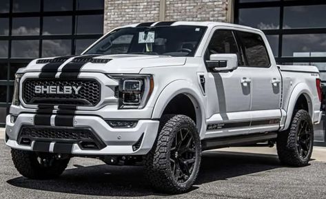 Ford Shelby Truck, Ford Raptor Shelby, Shelby Truck, Shelby F150, Tundra Truck, Hot Trucks, Customised Trucks, Dually Trucks, Classic Ford Trucks