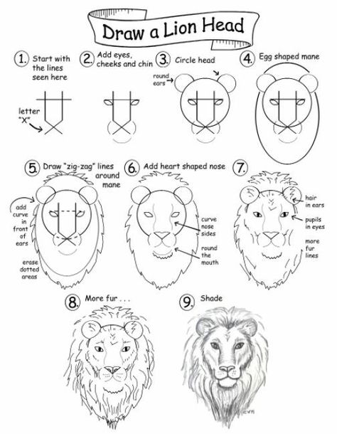 Lion Painting Tutorial, Lion Drawing Simple, Draw A Lion, Lion Face Drawing, Lion Sketch, Profile Drawing, Lion Drawing, Animal Drawings Sketches, Lion Painting