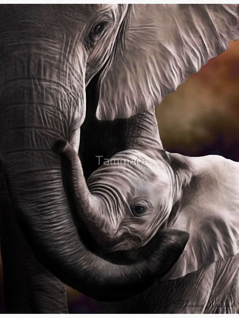 "Suah" Canvas Print by Tammara | Redbubble Elephant Photography, Elephant Artwork, Elephant Wallpaper, Animals Tattoo, Elephant Face, Elephant Pictures, Elephants Photos, Elephant Lover, Elephant Love