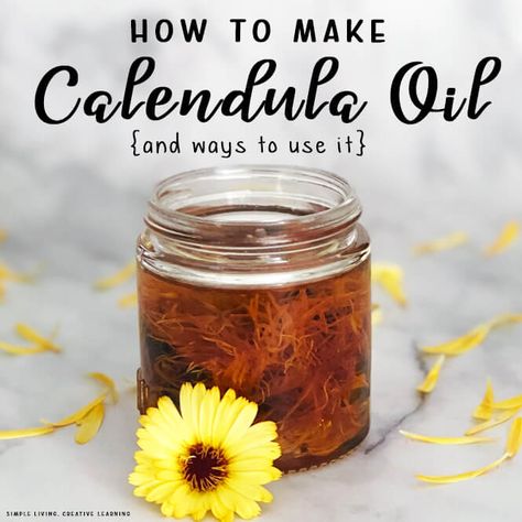 Growing your own flowers and using them to make this calendula oil is very affordable while being simple and pure. Flower Infused Oil, Herbal Salve Recipes, Medicinal Weeds, Salve Recipes, Calendula Flower, Calendula Oil, Diy Skin Care Recipes, Essential Oil Benefits, Infused Oils