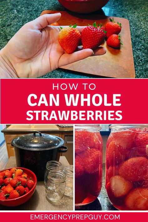 A person holding fresh strawberries with a bowl of more berries, jars for canning, and a pot for processing, showcasing the process of canning whole strawberries. Preserving Strawberries, Can Strawberries, Canning Strawberries, Preserving Fruit, Strawberry Gluten Free, Homemade Preserves, Canned Strawberries, Canning Jams, Canning 101