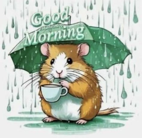 Rainy Day Funny Quotes, Rainy Morning Coffee, Rainy Day Good Morning, Rainy Morning Quotes, Rainy Day Images, Good Morning Rain, Rainy Good Morning, Good Morning Rainy Day, Good Morning Animals