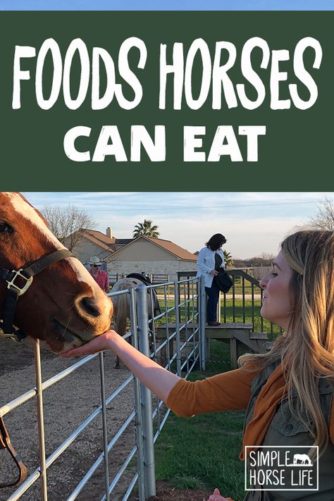 Cow Food, Pet Recipes, Treat Business, Horse Information, Horse Food, Horse Cookies, Horse Care Tips, Acidic Foods, Horse Treats