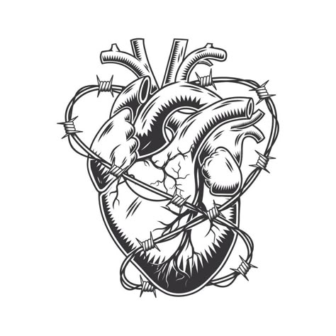 Heart Wrapped In Barbed Wire Tattoo, Barbed Wire Drawing, Heart Tattoo Flash, Family Sleeve Tattoo, Human Heart Tattoo, Traditional Heart Tattoos, Wire Tattoo, Anatomical Heart Art, Barbed Wire Tattoos