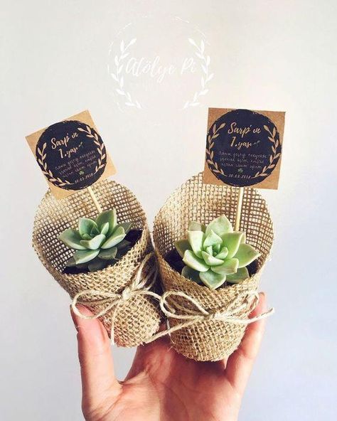 Wedding Return Gifts, Ideas Aniversario, Irregular Mirror, Succulent Wedding Favors, Shop Bathroom, Succulent Gift, Wedding Giveaways, Return Gifts, Succulent Gifts