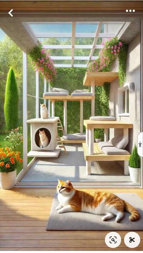 Cat Boarding Ideas, Cat Room Diy, Outdoor Cat Tunnel, Outdoor Pet Enclosure, Catio Ideas, Cat Space, Cat Fence, Cat Enclosures, Cat Patio