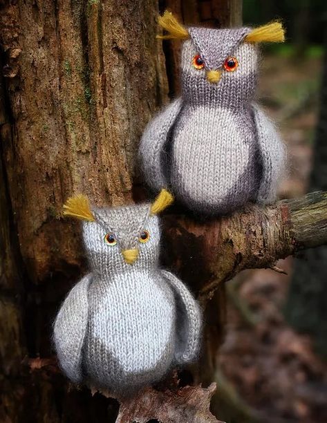 Honestly, the answer is probably no one needs to knit an owl, but that’s not exactly the point, is it? These adorable owls would be perfect for you fall and winter decor. I doubt you’ll be able to resist making … Read More ... Owl Knitting, Owl Knitting Pattern, Amigurumi Owl, Adorable Owls, Knitted Owl, Owl Plush, Misfit Toys, Animal Knitting Patterns, Extra Yarn