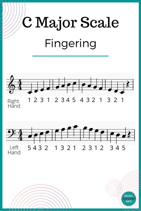 Fingering or finger patterns for C major scale on piano. Right hand and left hand, treble clef scale, bass clef scale. C major scale. Piano tutorial. Easy Piano Sheet Music With Numbers, Left Hand Piano Notes, C Major Scale Piano, Piano Scales For Beginners, Piano Exercise, Treble Clef Notes, C Major Scale, Beginner Piano Lessons, Music Theory Piano