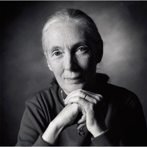 Jane Goodall on Science and Spirit: The Iconic Primatologist Talks to Bill Moyers and Reads Her Poem “The Old Wisdom” Jane Goodall, Inspiring Women, Inspiring People, Interesting People, Aging Gracefully, 인물 사진, Famous Faces, Amazing People, Inspirational People