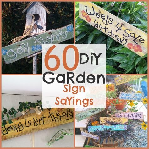 diy signs for the garden | DIY Garden Signs - Sow & Dipity Diy Garden Signs, Garden Signs Diy, Garden Quotes Signs, Funny Garden Signs, Sign Sayings, Different Signs, Garden Quotes, School Garden, Whimsical Garden