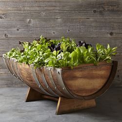 Barrel Garden Planters, Wine Barrel Garden, Garden Diy Decoration Ideas, Raised Garden Beds Diy Vegetables, Wine Barrel Planter, Plants For Raised Beds, Wine Barrel Furniture, Raised Planter Beds, Barrel Planter