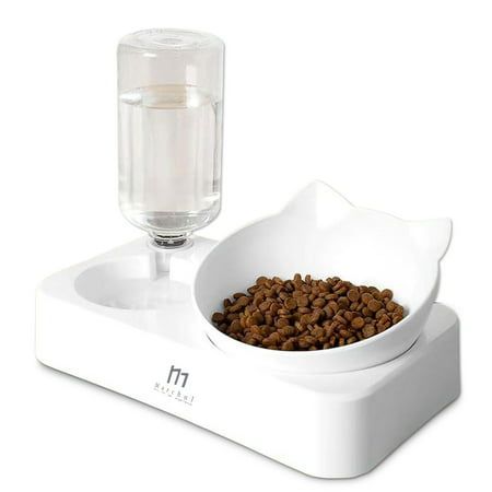 Food Bowls, Cat Dishes, Cat Food Bowl, Cat Feeder, Cat Drinking, Pet Feeder, Cat Feeding, Medium Sized Dogs, Cat Accessories