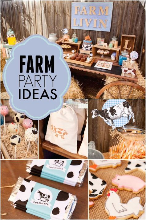 Farm Birthday Centerpiece Ideas, Farm Dessert Table, Farm Party Ideas, Farmyard Party, Blue Underneath, Barnyard Bash, Barnyard Theme, Wishy Washy, Backyard Barn